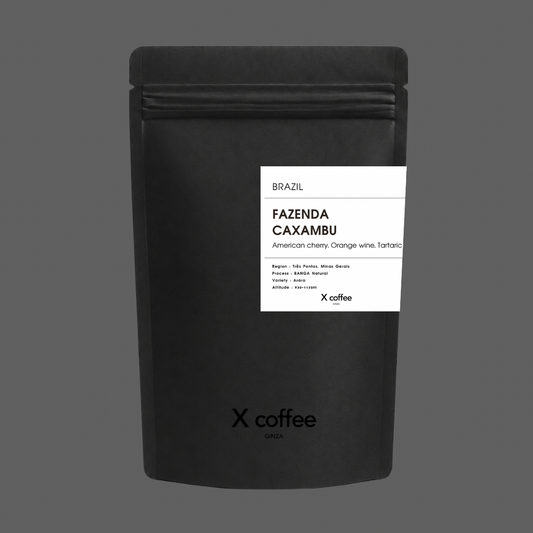 【 Brazil 】 Fazenda Caxambu